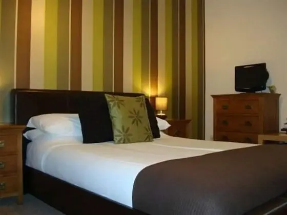 Tek Büyük Yataklı Oda, Banyolu/Duşlu ( (Room Only))