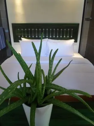 Deluxe Dağ Evi, 1 En Büyük (King) Boy Yatak, Sigara İçilmez, Dağ Manzaralı