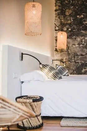 Superior Tek Büyük veya İki Ayrı Yataklı Oda, Bağlantılı Odalar, Bahçe Manzaralı