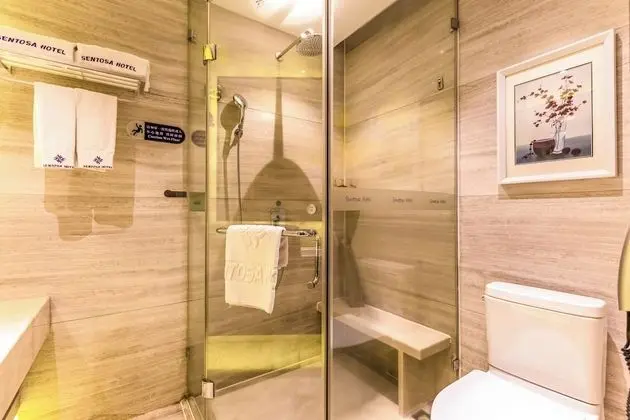 Deluxe İki Ayrı Yataklı Oda