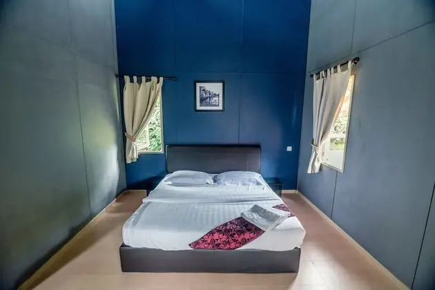 Deluxe Tek Büyük Yataklı Oda, 1 Yatak Odası, Balkon