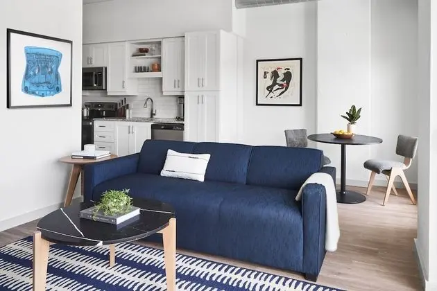 Apart Daire, 1 Yatak Odası (Designer Furnished)