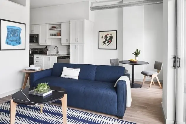 Apart Daire, 1 Yatak Odası (Designer Furnished)