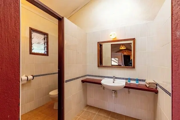 Standard Tek Büyük Yataklı Oda, Park Manzaralı