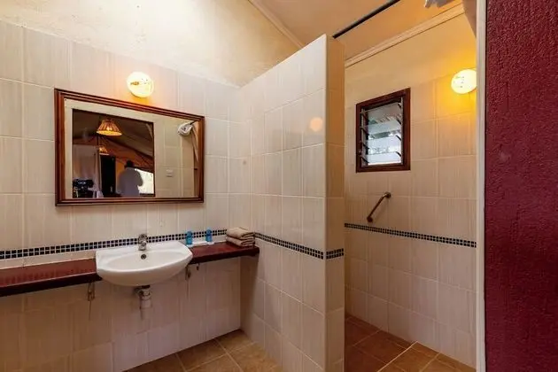 Standard Tek Büyük Yataklı Oda, Park Manzaralı