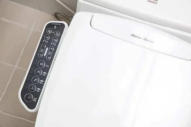 Standard Tek Büyük Yataklı Oda, Dağ Manzaralı