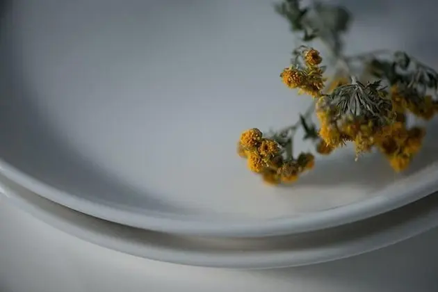 Dubleks (A: White)