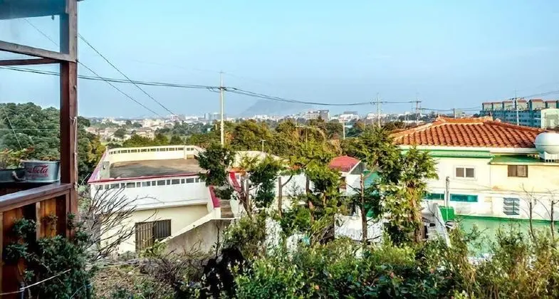 Tek Büyük Yataklı Oda (103)
