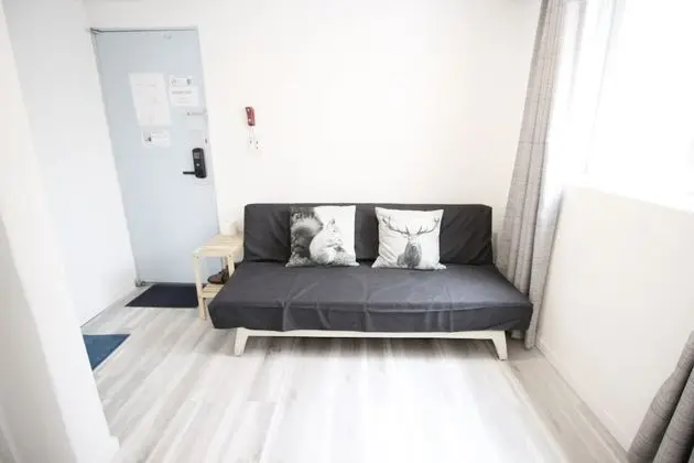 Deluxe Tek Büyük Yataklı Oda, 1 Çift Kişilik Yatak ve Çekyat (non-Korean nationals only)