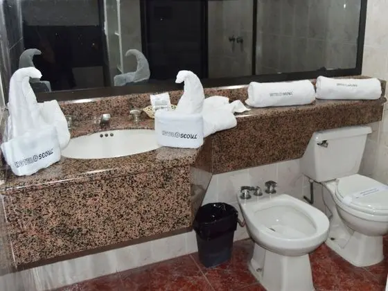 Süit