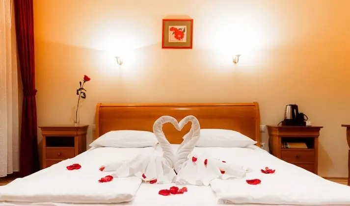 Superior Tek Büyük Yataklı Oda