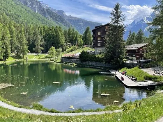 Ev