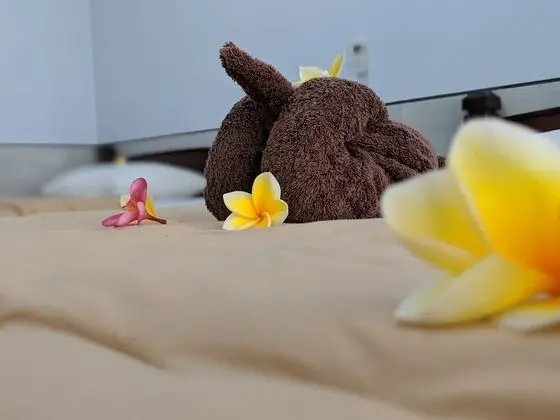 Deluxe İki Ayrı Yataklı Oda, Balkon, Havuz Manzaralı