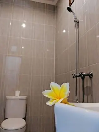 Deluxe İki Ayrı Yataklı Oda, Balkon, Havuz Manzaralı