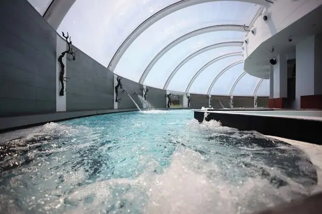 Tek Büyük Yataklı Oda (Spa Access)
