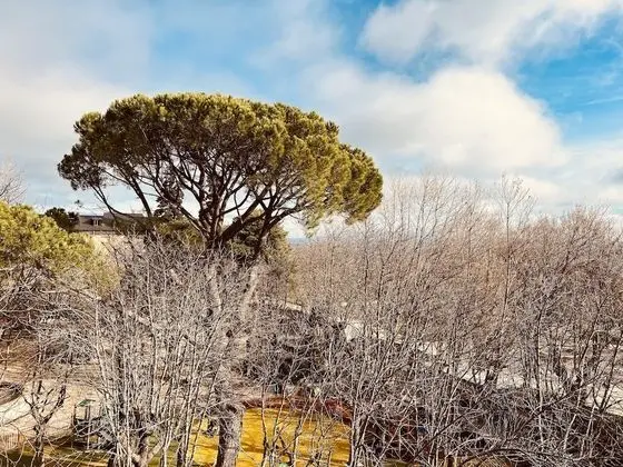 Standard Üç Kişilik Oda