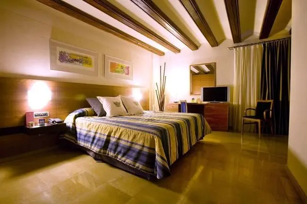 Superior Büyük Yataklı Tek Kişilik Oda