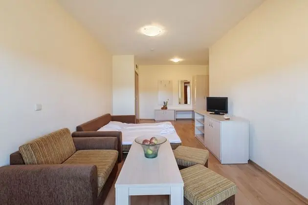 Standard Apart Daire, 1 Yatak Odası