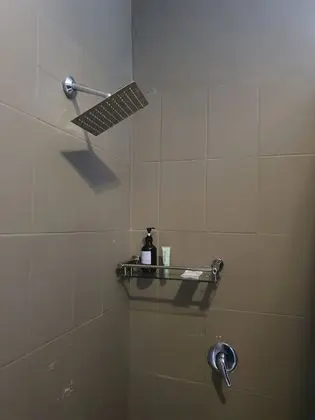 Süit