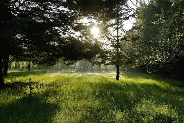 Comfort Ev, Banyolu/Duşlu, Bahçe Manzaralı (Serendip)