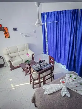 Superior Oda, 1 Çift Kişilik Yatak, Küçük Mutfak, Park Manzaralı
