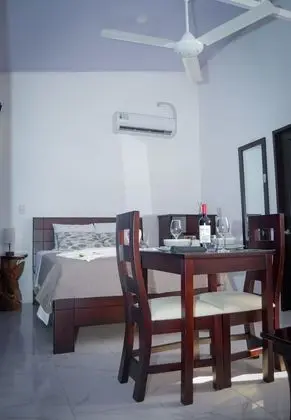 Superior Oda, 1 Çift Kişilik Yatak, Küçük Mutfak, Park Manzaralı