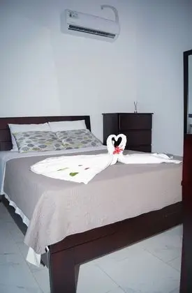Superior Oda, 1 Çift Kişilik Yatak, Küçük Mutfak, Park Manzaralı