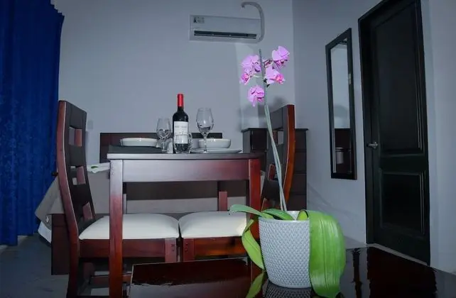 Superior Oda, 1 Çift Kişilik Yatak, Küçük Mutfak, Park Manzaralı