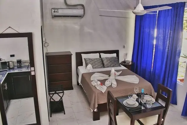 Superior Oda, 1 Çift Kişilik Yatak, Küçük Mutfak, Park Manzaralı