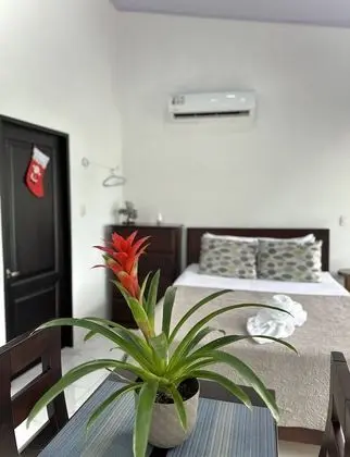 Superior Oda, 1 Çift Kişilik Yatak, Küçük Mutfak, Park Manzaralı