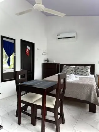 Superior Oda, 1 Çift Kişilik Yatak, Küçük Mutfak, Park Manzaralı