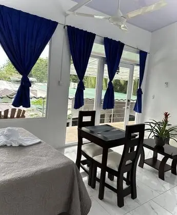 Superior Oda, 1 Çift Kişilik Yatak, Küçük Mutfak, Park Manzaralı