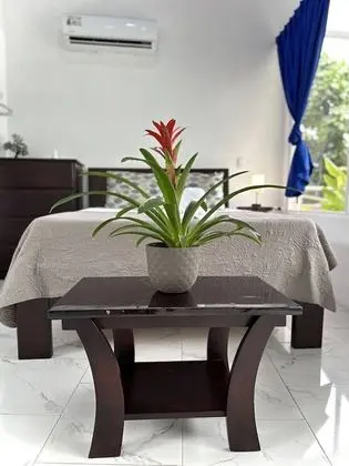 Superior Oda, 1 Çift Kişilik Yatak, Küçük Mutfak, Park Manzaralı