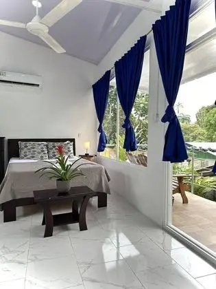 Superior Oda, 1 Çift Kişilik Yatak, Küçük Mutfak, Park Manzaralı