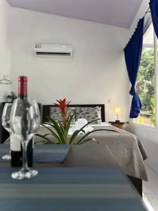 Superior Oda, 1 Çift Kişilik Yatak, Küçük Mutfak, Park Manzaralı