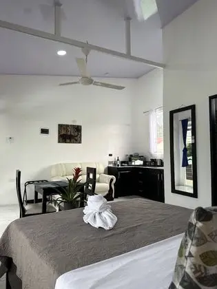 Superior Oda, 1 Çift Kişilik Yatak, Küçük Mutfak, Park Manzaralı