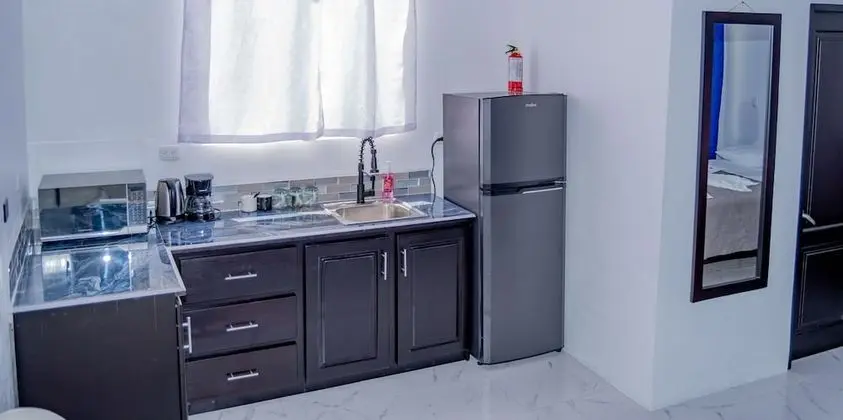 Superior Oda, 1 Çift Kişilik Yatak, Küçük Mutfak, Park Manzaralı