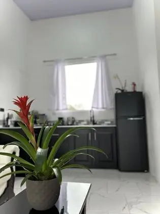 Superior Oda, 1 Çift Kişilik Yatak, Küçük Mutfak, Park Manzaralı