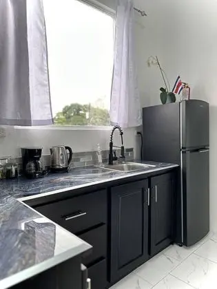 Superior Oda, 1 Çift Kişilik Yatak, Küçük Mutfak, Park Manzaralı