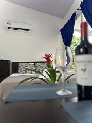 Superior Oda, 1 Çift Kişilik Yatak, Küçük Mutfak, Park Manzaralı