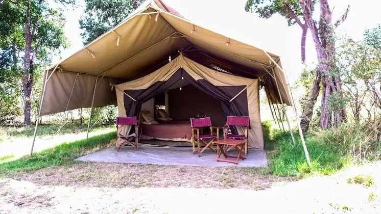 Luxury Çadır