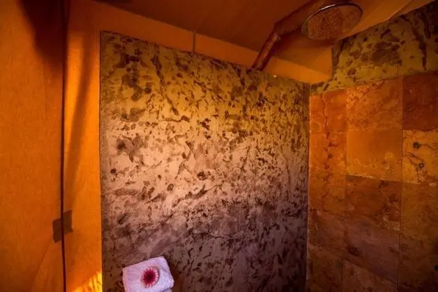 Çadır, 1 En Büyük (King) Boy Yatak, Bahçe Manzaralı (Harmony Tent)