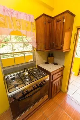 Deluxe Double Room with Balcony (Mountain View)