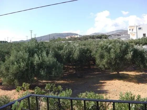 Romantic Stüdyo, Bahçe Manzaralı
