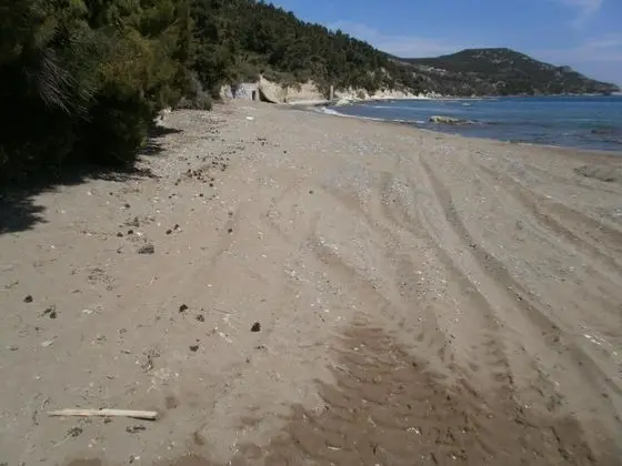 Villa, 4 Yatak Odası