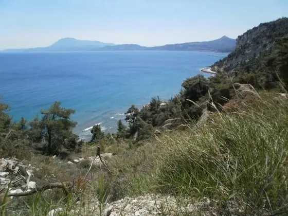 Villa, 4 Yatak Odası