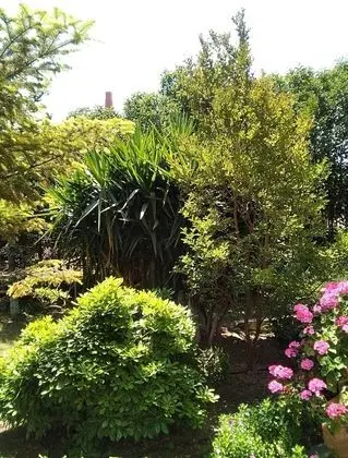 Villa, 4 Yatak Odası