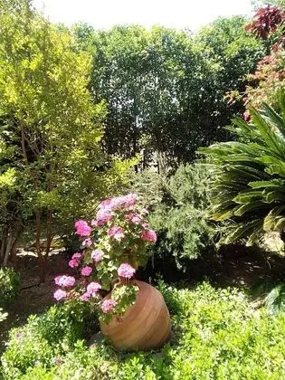 Villa, 4 Yatak Odası