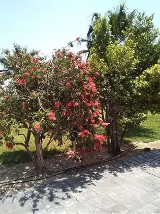 Villa, 4 Yatak Odası