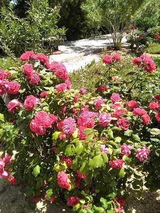 Villa, 4 Yatak Odası